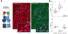 Extended Data Fig. 2 |