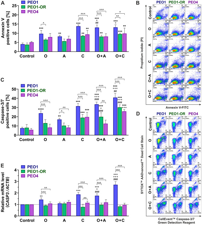 Targeted inhibition of the ATR/CHK1 pathway overcomes resistance to ...