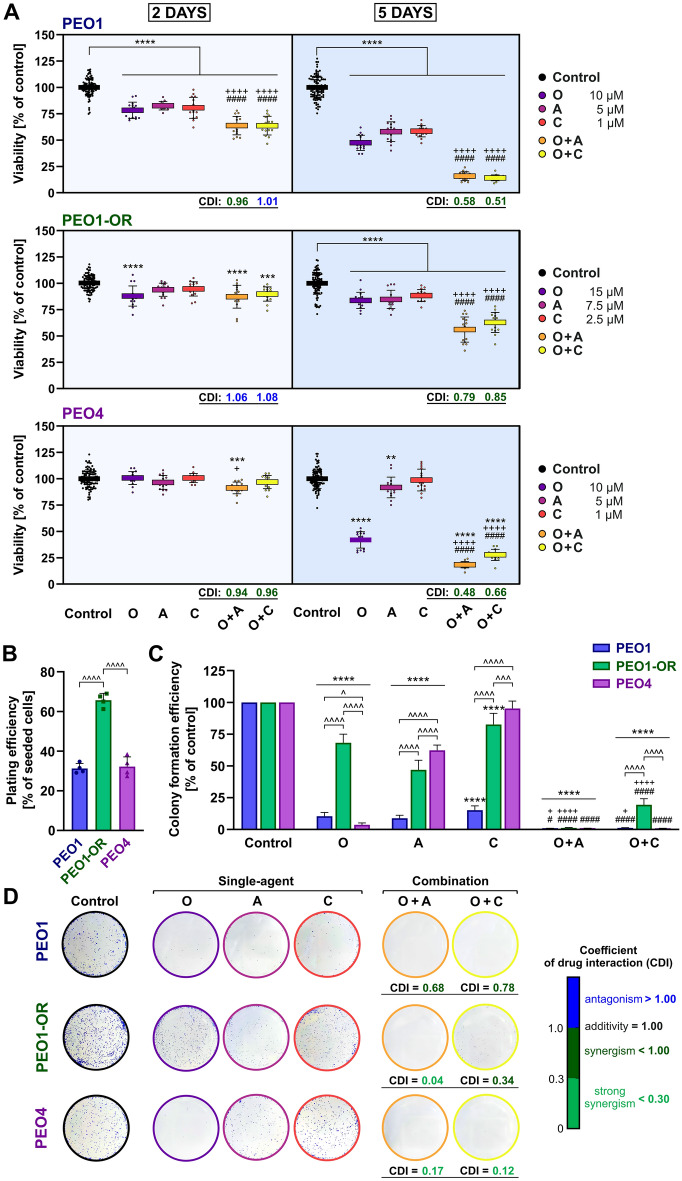 Targeted inhibition of the ATR/CHK1 pathway overcomes resistance to ...