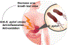 Figure 1 |