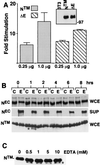 FIG. 6