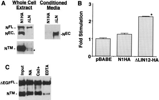 FIG. 5