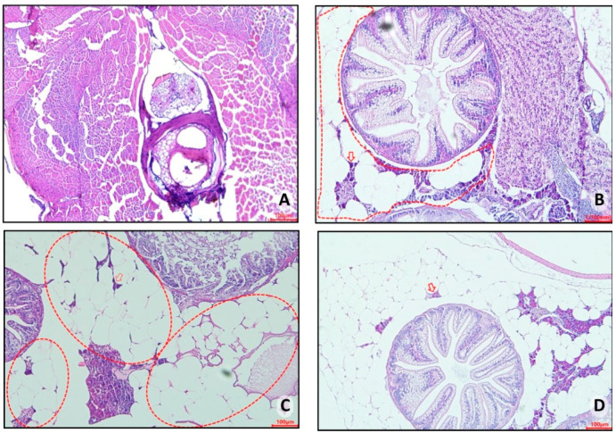 Figure 10