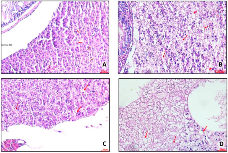 Figure 13