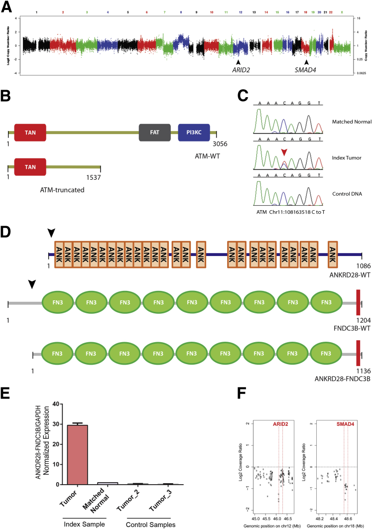 Figure 3