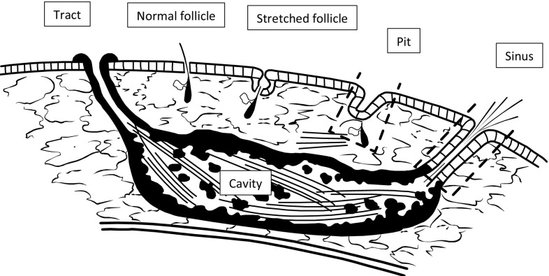 Fig. 7