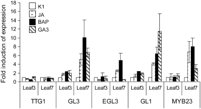 Figure 5.