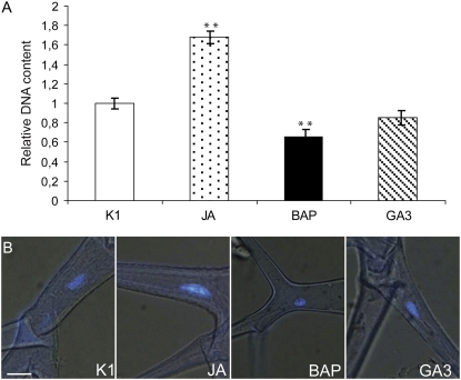 Figure 3.