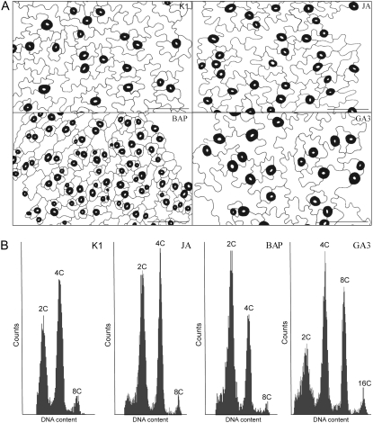 Figure 2.