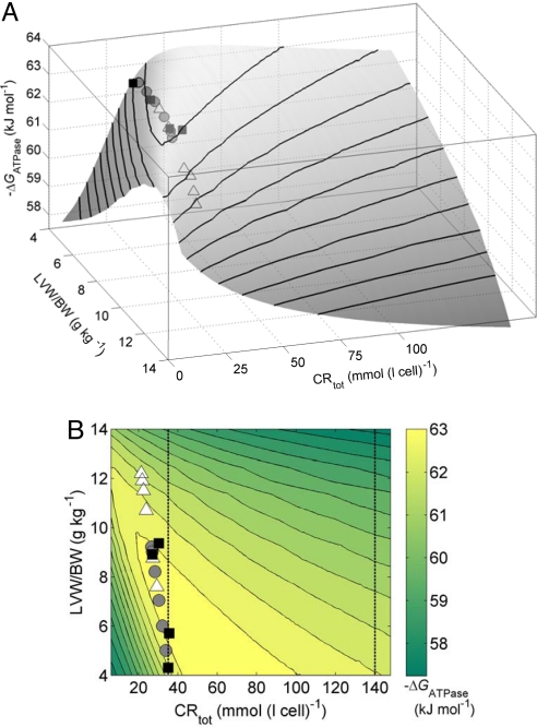 Fig. 3.