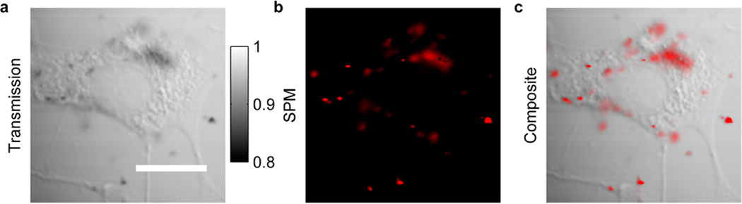 Figure 5