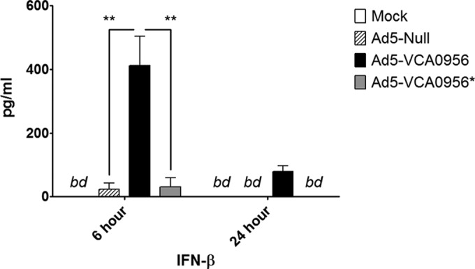 FIG 5