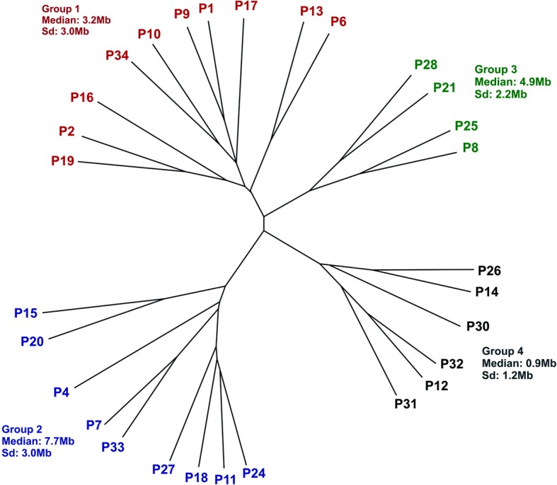 Fig. 2