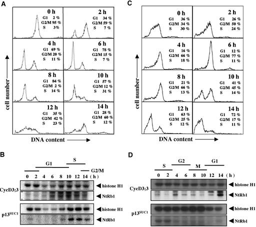 Figure 6.