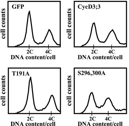 Figure 7.