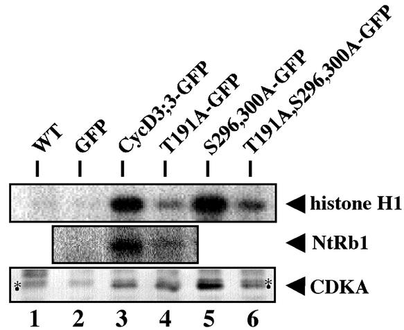 Figure 5.