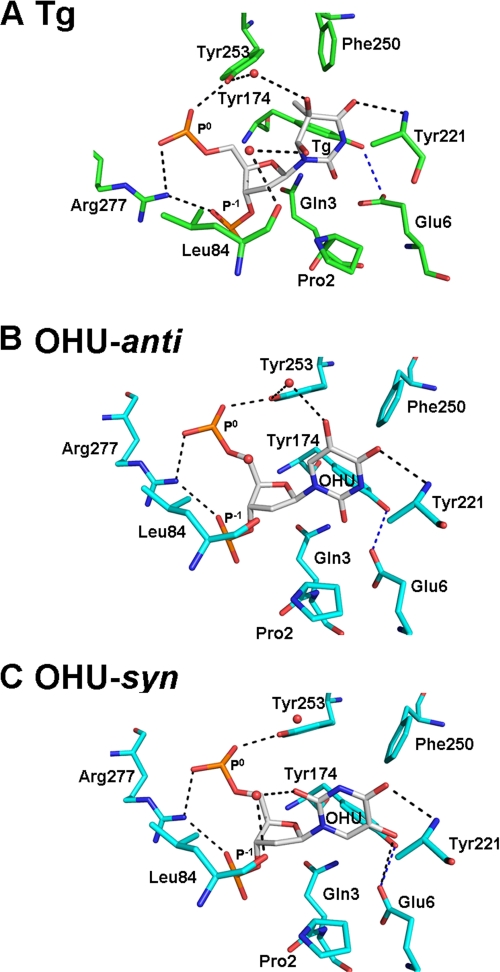 FIGURE 4.