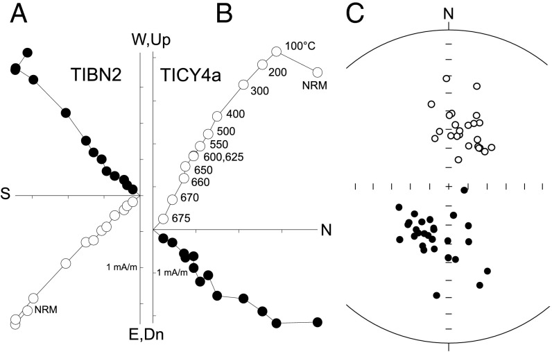 Fig. 5.