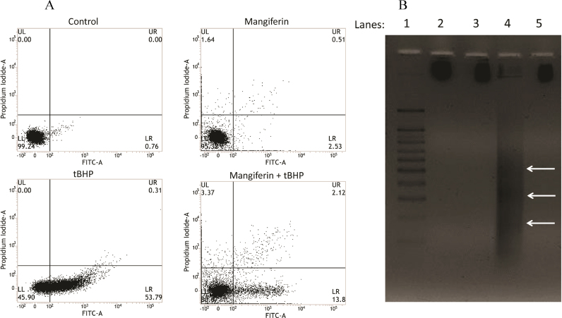 Fig. 7.