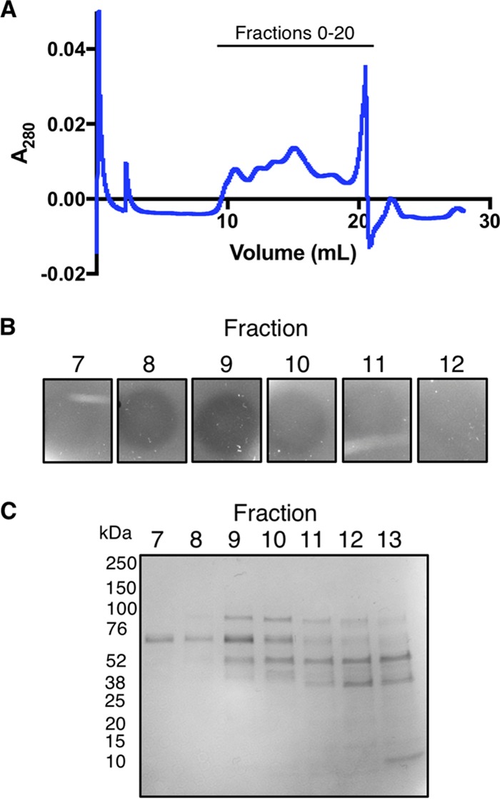 FIG 3