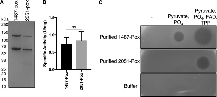 FIG 10