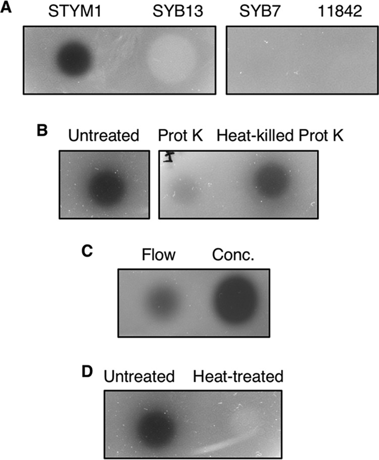 FIG 2