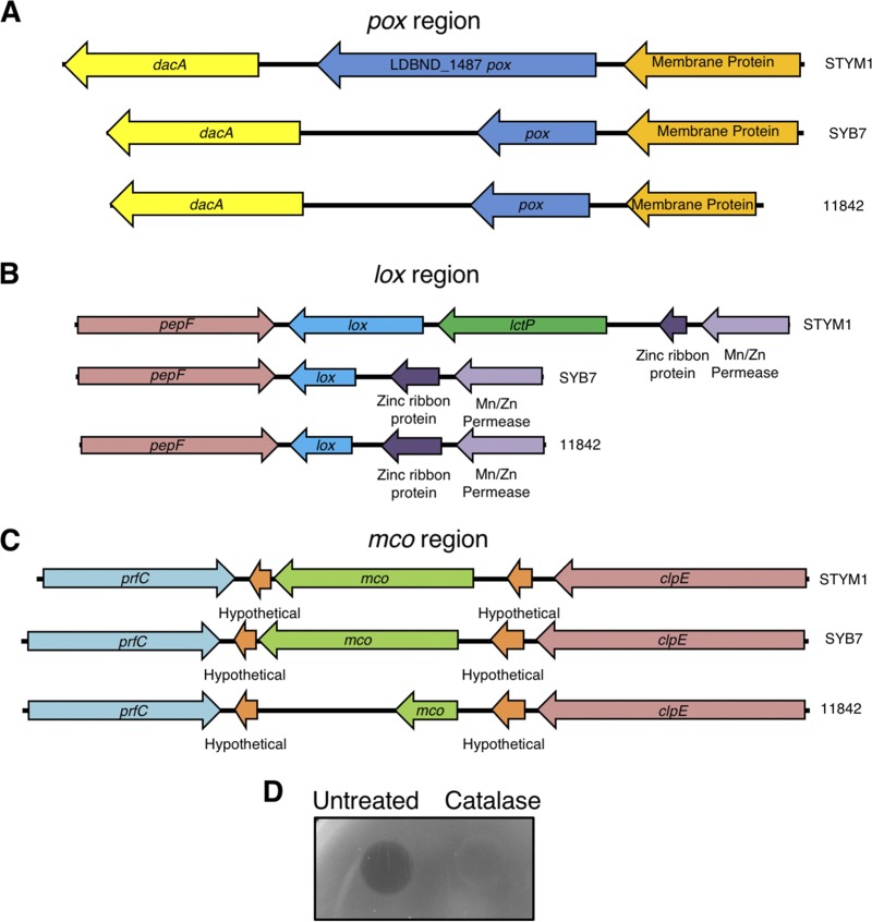 FIG 4