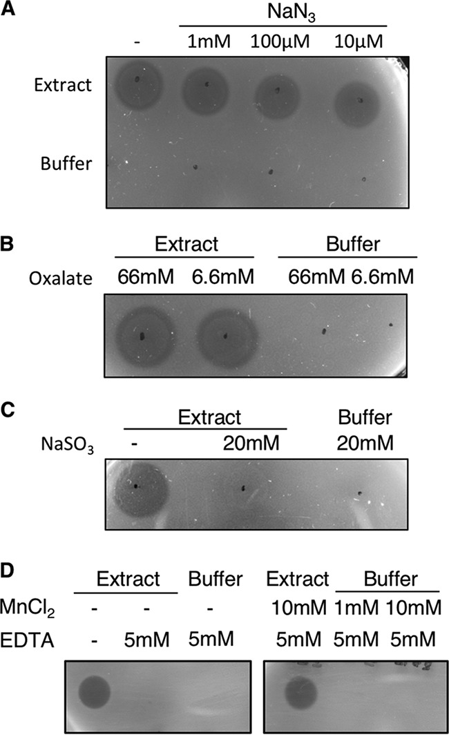 FIG 8