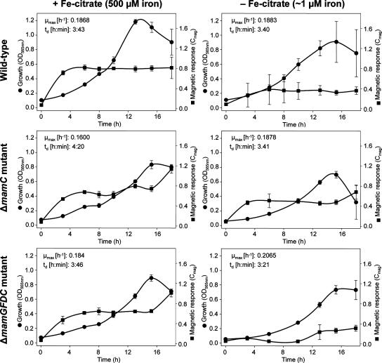 FIG. 2.