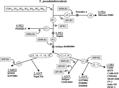 FIG. 3.