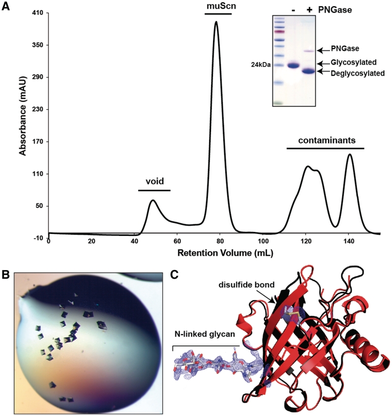 Figure 4.