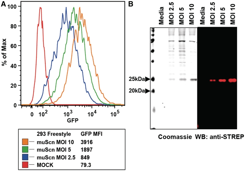 Figure 2.