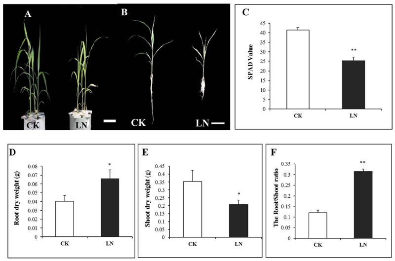 FIGURE 1