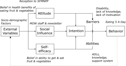 Triangulation of Seattle Senior Farmers' Market Nutrition Pilot Program Study Findings, 2001, with Attitude, Social Influence and Self-Efficacy (ASE) Model. MOW = Meals on Wheels, ADL = Activities of daily living. ASE model adapted from Brug et al. Reprinted with permission from Elsevier.