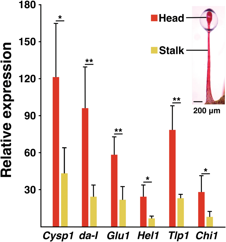 Fig. 3.