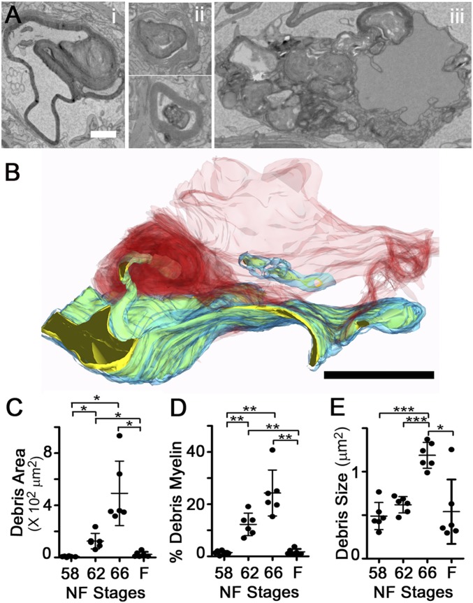 Fig. 3.