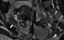 Figure 9.