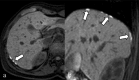 Figure 12.