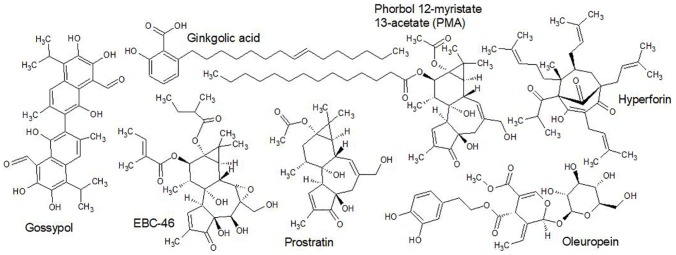 FIGURE 11