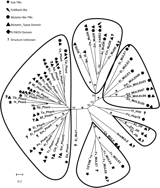 Figure 6.—