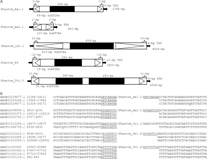 Figure 2.—