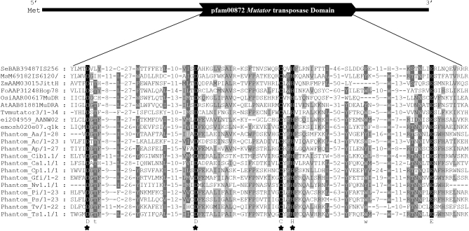 Figure 3.—