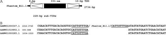 Figure 1.—