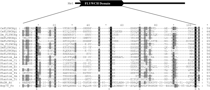 Figure 4.—