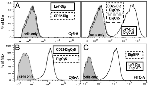 Fig. 5.