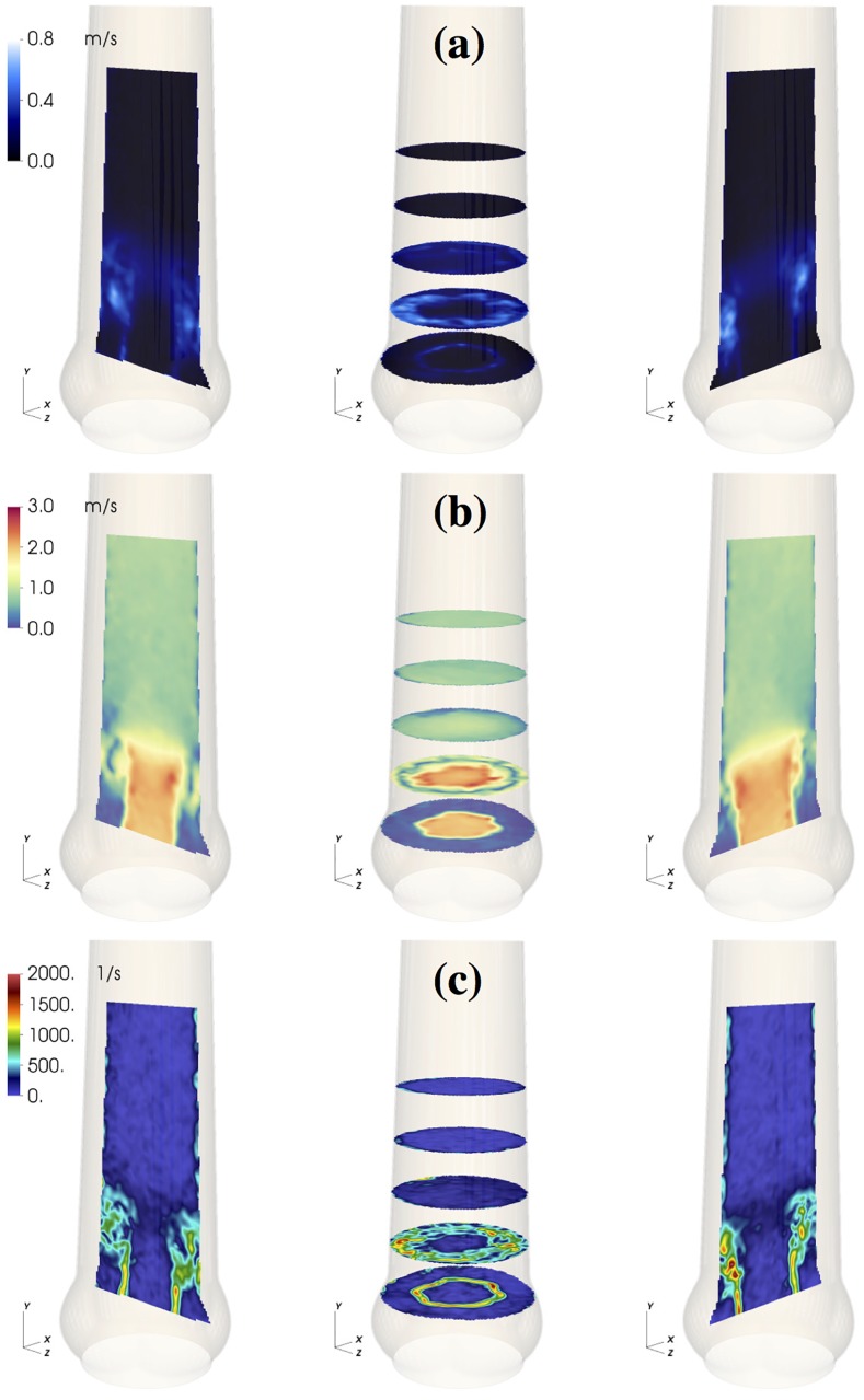 Fig 6