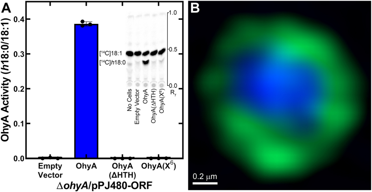 Figure 13