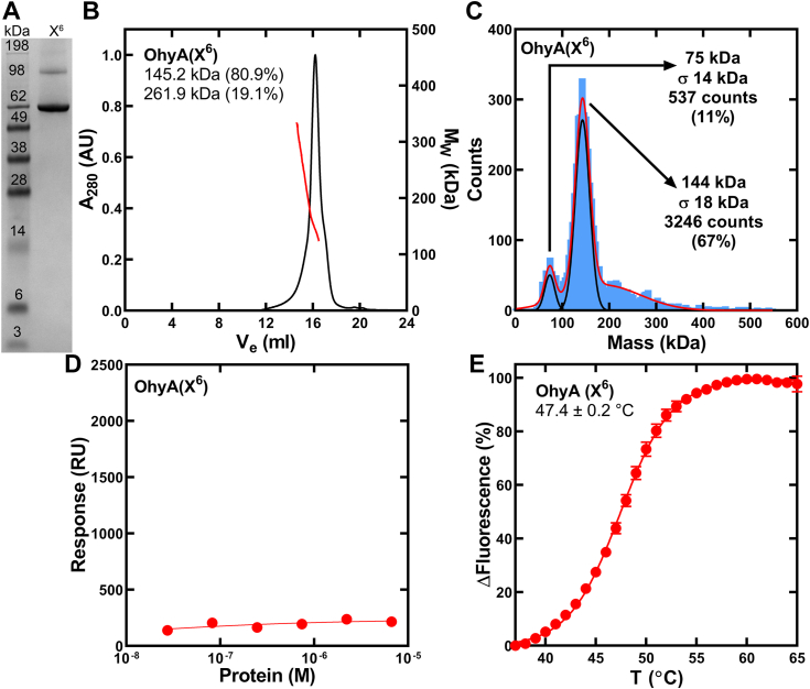 Figure 12