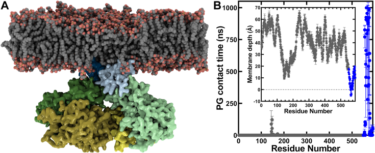 Figure 11