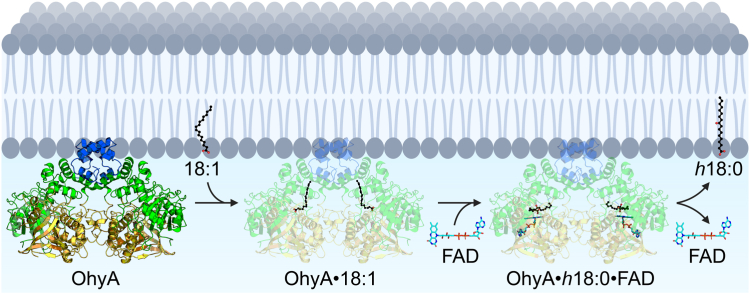 Figure 14